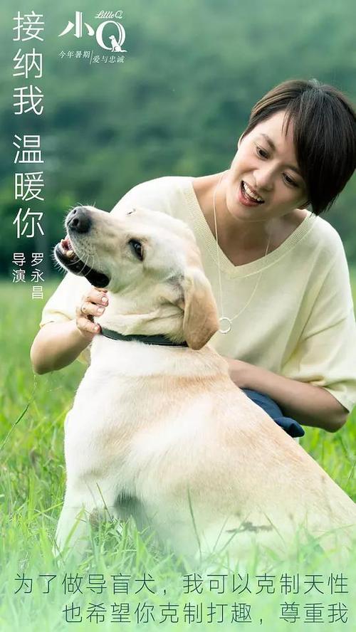 计算机系统集成资质证书高仿版本